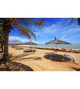 Saly's beach in Senegal Wall Mural