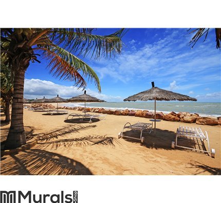 Saly's beach in Senegal Wall Mural Wall art Wall decor