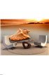 Shell Wall Mural Wall Tapestry tapestries
