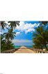 Way to the sea Wall Mural Wall art Wall decor