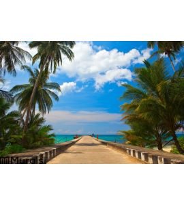 Way to the sea Wall Mural