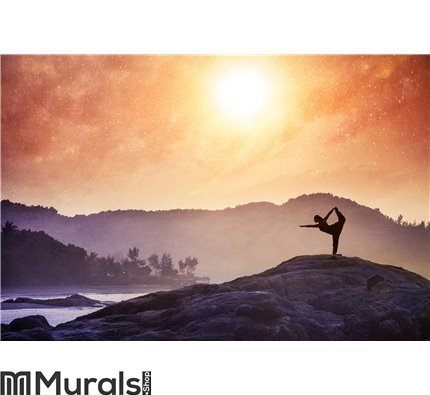 Yoga in India Wall Mural Wall art Wall decor