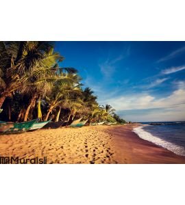 Boats on a Tropical Beach, Mirissa, Sri Lanka Wall Mural Wall art Wall decor