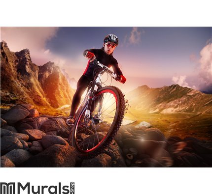 Mountain Bike cyclist riding Wall Mural Wall art Wall decor