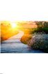Wooden path at sunset Wall Mural Wall art Wall decor