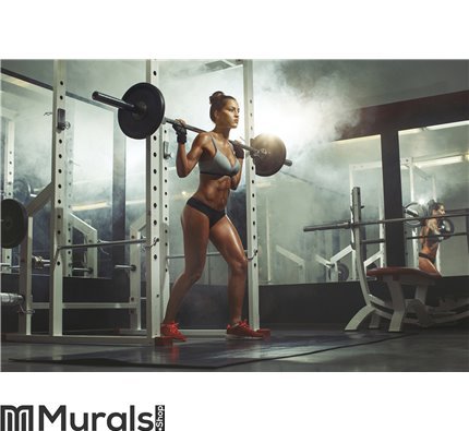 Woman lifting barbell with weight in gym Wall Mural Wall art Wall decor