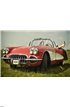 Vintage car Wall Mural Wall art Wall decor