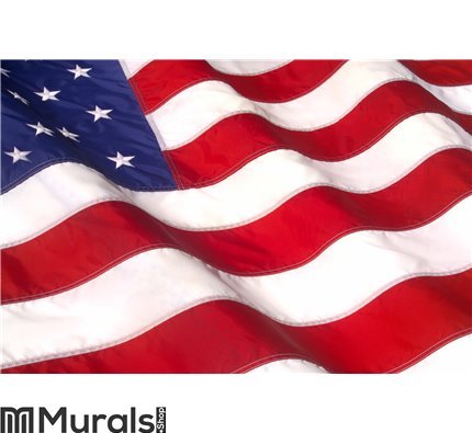 WAVING AMERICAN FLAG Wall Mural Wall art Wall decor