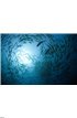 Fish in the ocean Wall Mural Wall art Wall decor