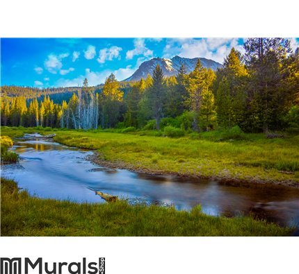 Mount Lassen Wall Mural Wall art Wall decor