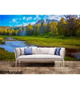 Mount Lassen Wall Mural Wall art Wall decor