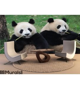 Two lovely pandas eating bamboo Wall Mural Wall art Wall decor