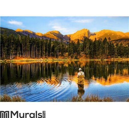 Fishing at Sunrise, in Colorado Mountains Wall Mural Wall art Wall decor