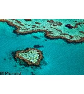 Great Barrier Reef Wall Mural Wall art Wall decor