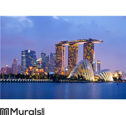 Singapore Skyline Wall Mural Wall art Wall decor