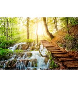 Deep forest stream with crystal clear water in the sunshine Wall Mural