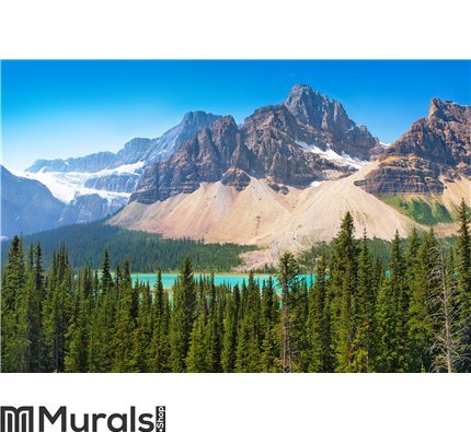 Canadian wilderness in Banff National Park Wall Mural Wall Tapestry tapestries