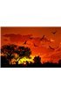 Landscape of Africa with warm sunset Wall Mural Wall Tapestry tapestries