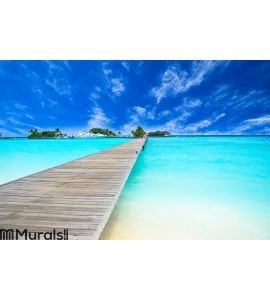 Amazing island and pristine beach in Maldives Wall Mural Wall Tapestry tapestries