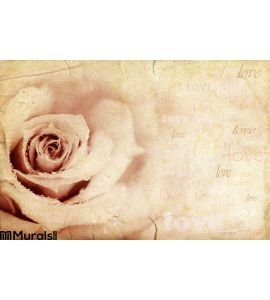 Grungy rose background Wall Mural