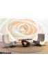Rose abstract Wall Mural Wall Tapestry tapestries