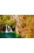 Waterfall Autumn Forest Wall Mural Wall art Wall decor