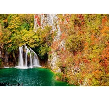 Waterfall Autumn Forest Wall Mural Wall art Wall decor