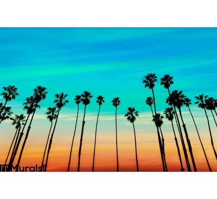 California Sunset Palm Tree Rows Santa Barbara Wall Mural Wall art Wall decor