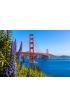 Golden Gate Bridge San Francisco Purple Flowers California Wall Mural Wall Tapestry tapestries