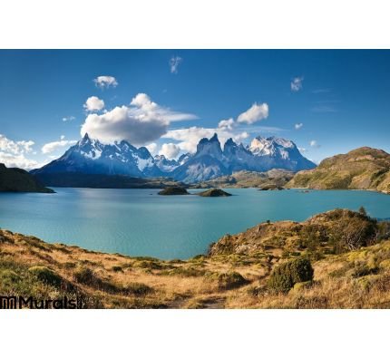 Torres Del Paine National Park Lake Pehoe Wall Mural Wall Tapestry tapestries