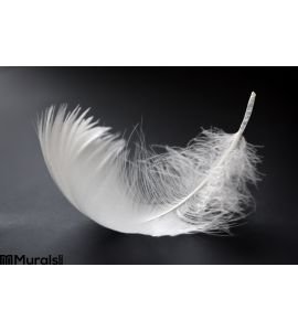 White Feather Wall Mural Wall Tapestry tapestries