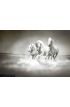 Herd White Horses Running Water Wall Mural Wall Tapestry tapestries