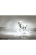White Horse Running Water Wall Mural Wall Tapestry tapestries