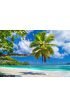 Seychelles Wall Mural Wall art Wall decor