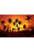 Coconut Palms Sand Beach Tropic Sunset Wall Mural Wall Tapestry tapestries