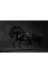 Galloping black horse on dark background Wall Mural Wall Tapestry tapestries