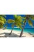 Deserted Beach Coconut Palm Trees Fiji Wall Mural Wall Tapestry tapestries