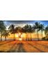 Sunlight Rising Behind Palm Trees Hdr Port Douglas Australia Wall Mural Wall Tapestry tapestries