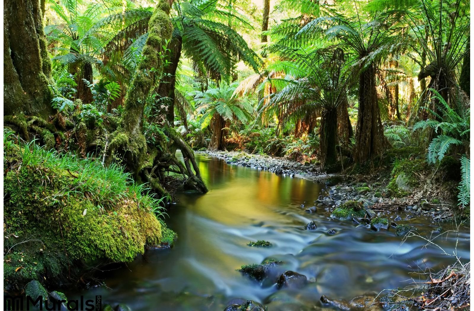 Rainforest River Panorama Wall Mural