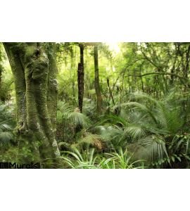 Tropical Forest Wall Mural Wall art Wall decor