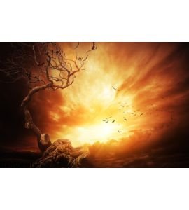 Dried Tree Over Stormy Sky Wall Mural Wall art Wall decor