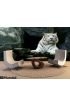 White Tiger Wall Mural Wall art Wall decor