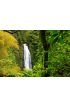 Dominica Wall Mural Wall Tapestry tapestries