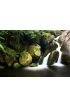 Rainforest Waterfall Wall Mural Wall Tapestry tapestries