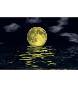 Moon Over Water Wall Mural Wall Tapestry tapestries