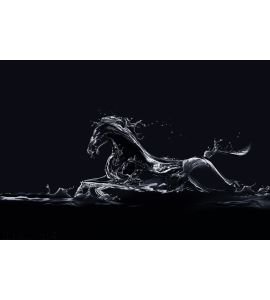 Black Water Horse Wall Mural