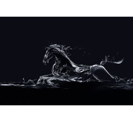 Black Water Horse Wall Mural Wall art Wall decor