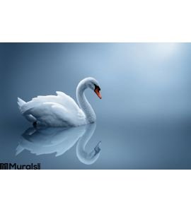 Swan Wall Mural Wall art Wall decor