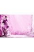 Woman wellness Wall Mural Wall Tapestry tapestries