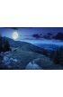 Pine Trees Near Valley Mountain Night Wall Mural Wall Tapestry tapestries